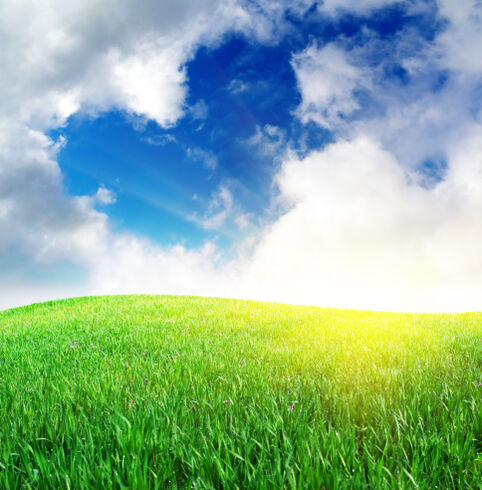 field of green grass with a sky above where white clouds have separated to form a blue heart