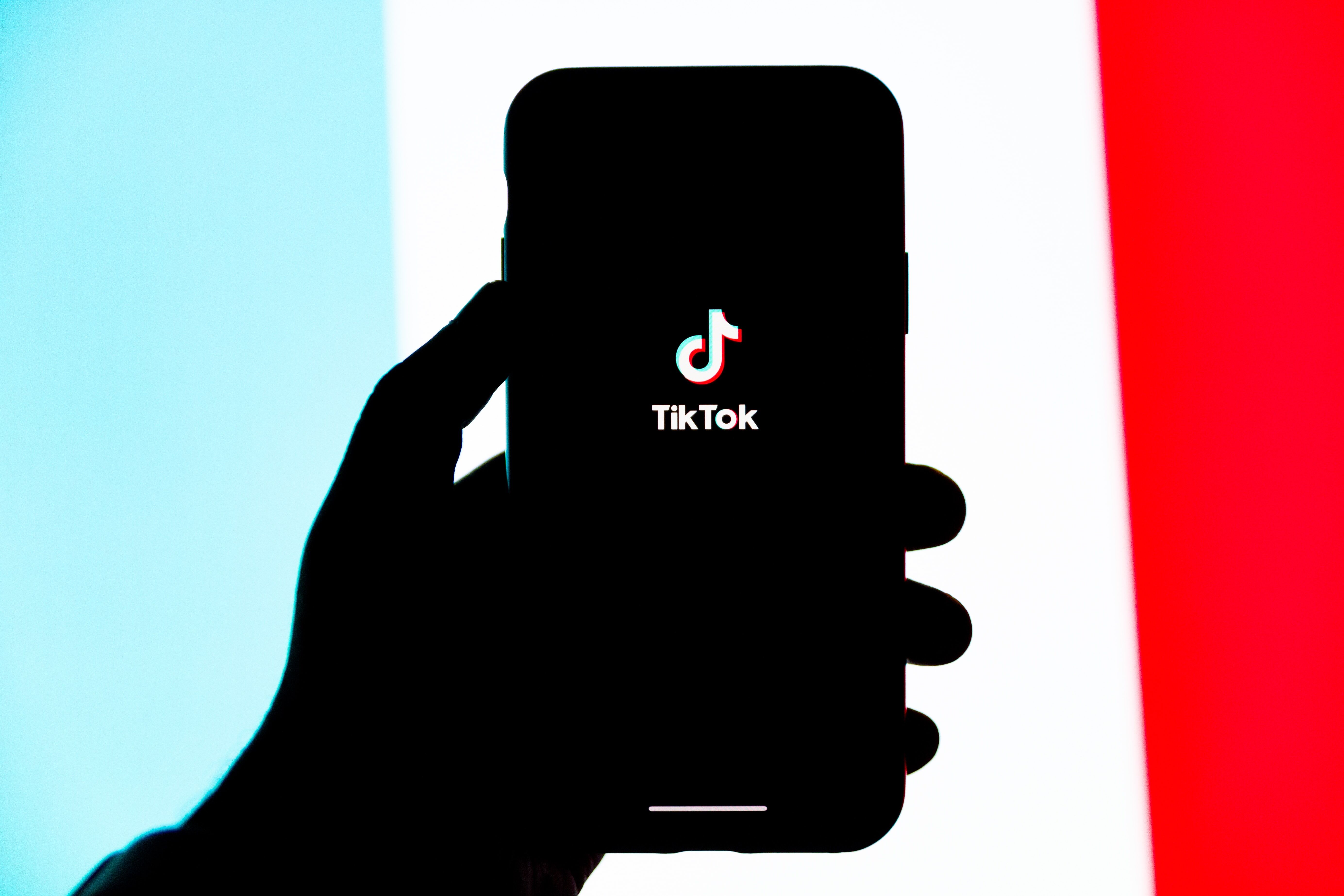 TikTok for business 2022