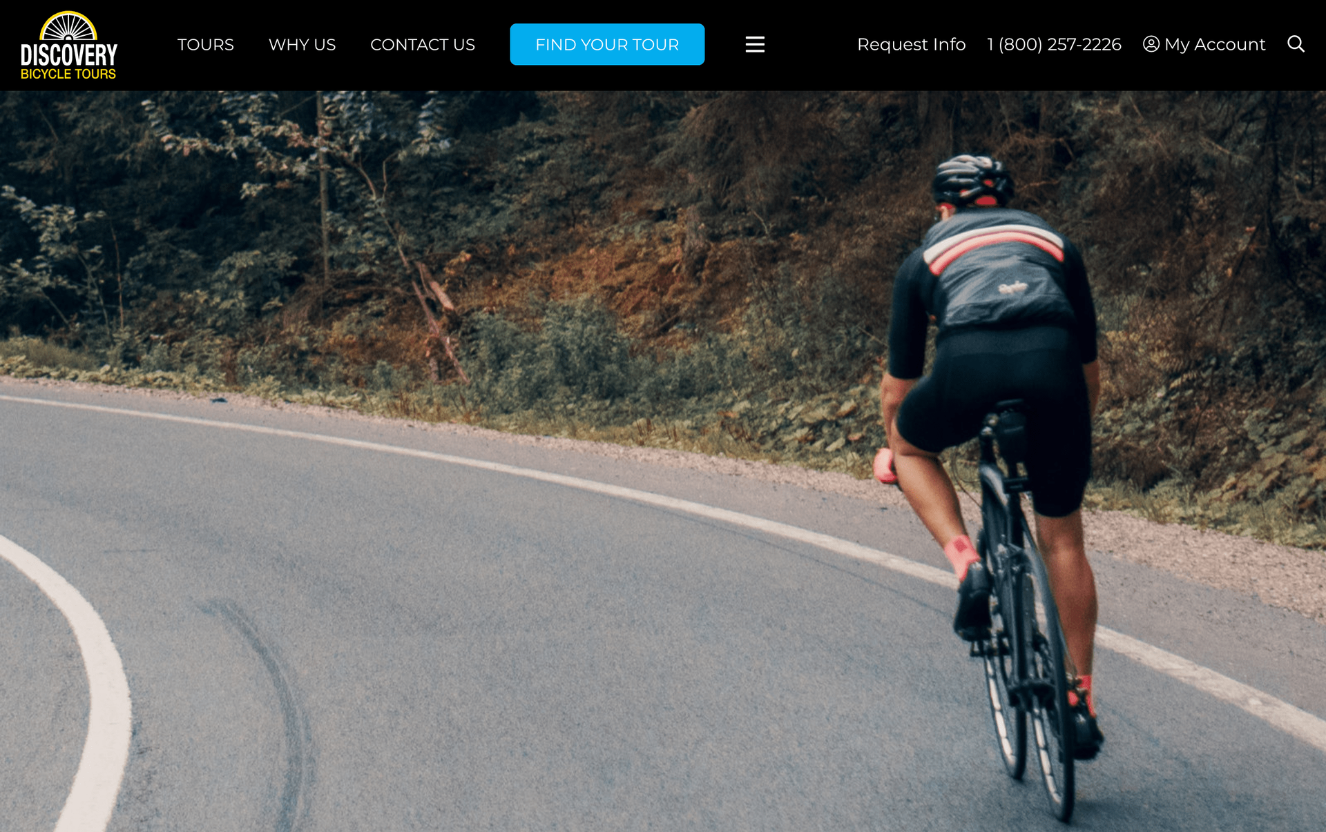 A cyclist rides on a winding road surrounded by greenery