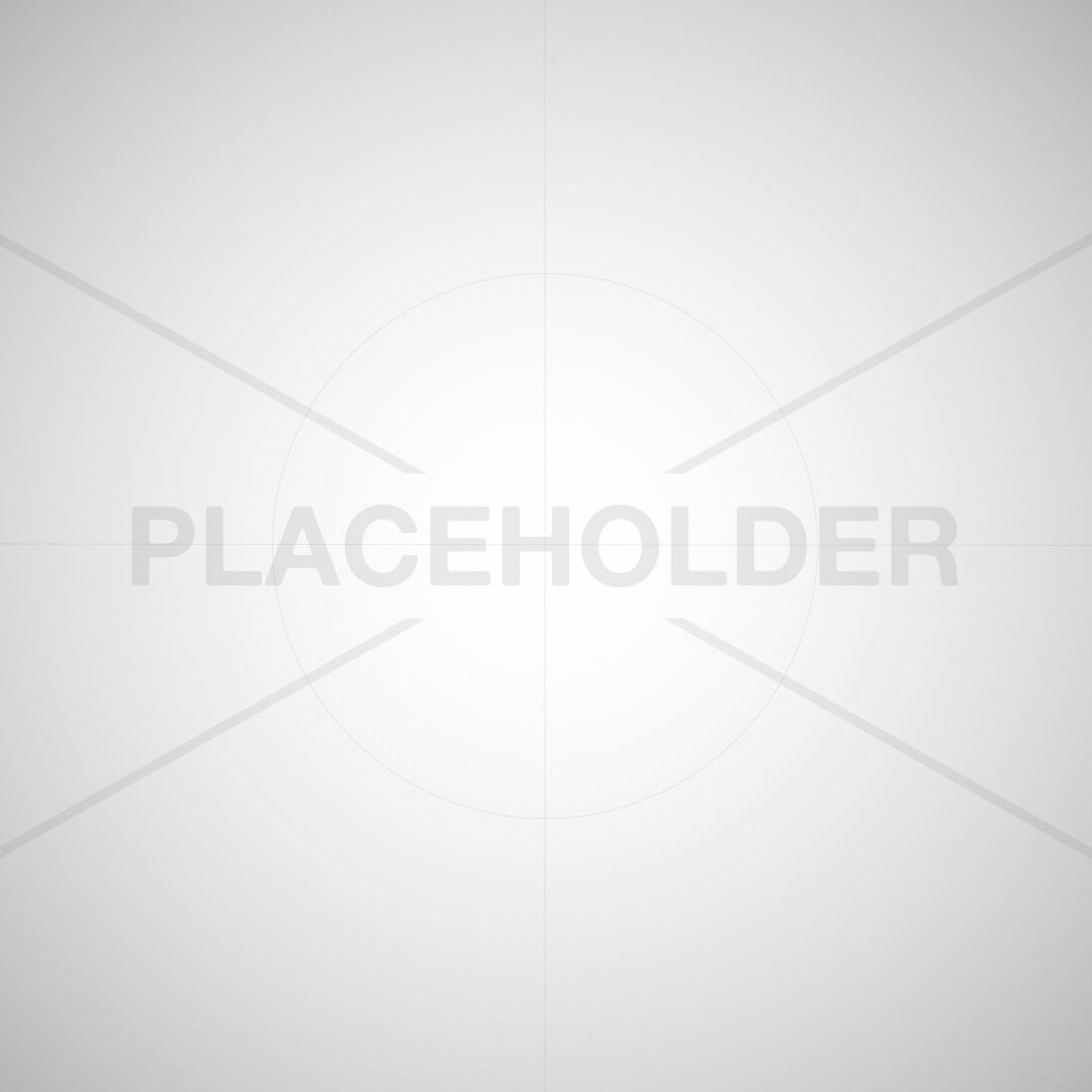 A blank gray background with the word "PLACEHOLDER" in the center.