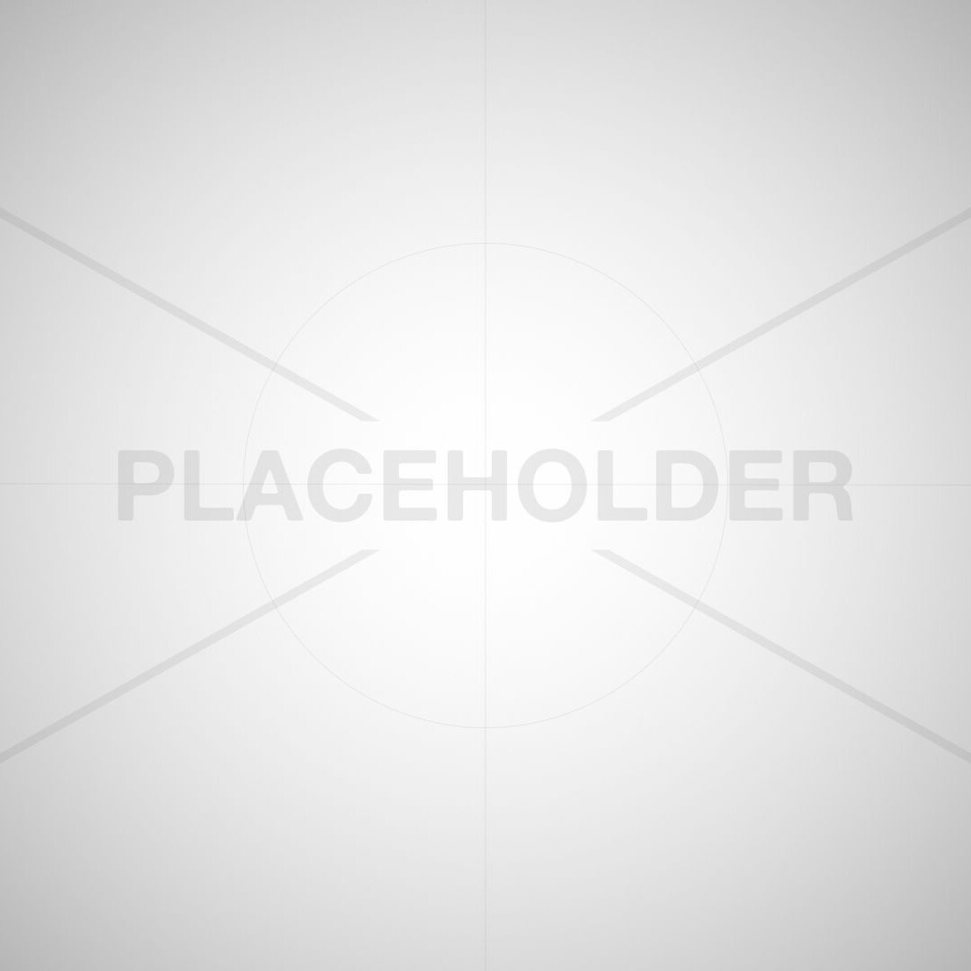 Blank gray background with the text "PLACEHOLDER" in the center.
