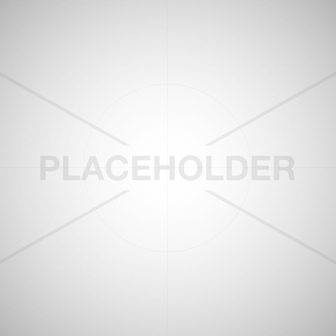 Plain gray background with the word "PLACEHOLDER" centered in large, light font.