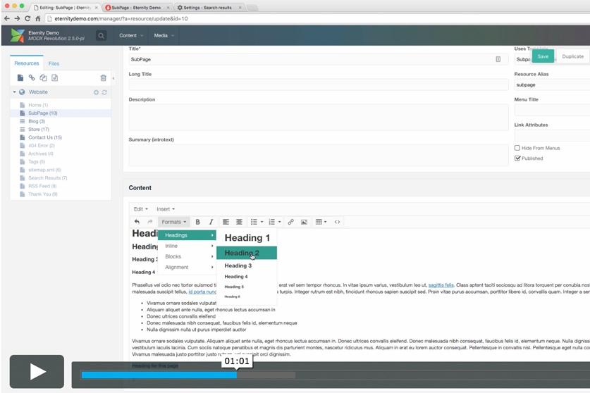 Editing a webpage in a content management system with formatting options displayed
