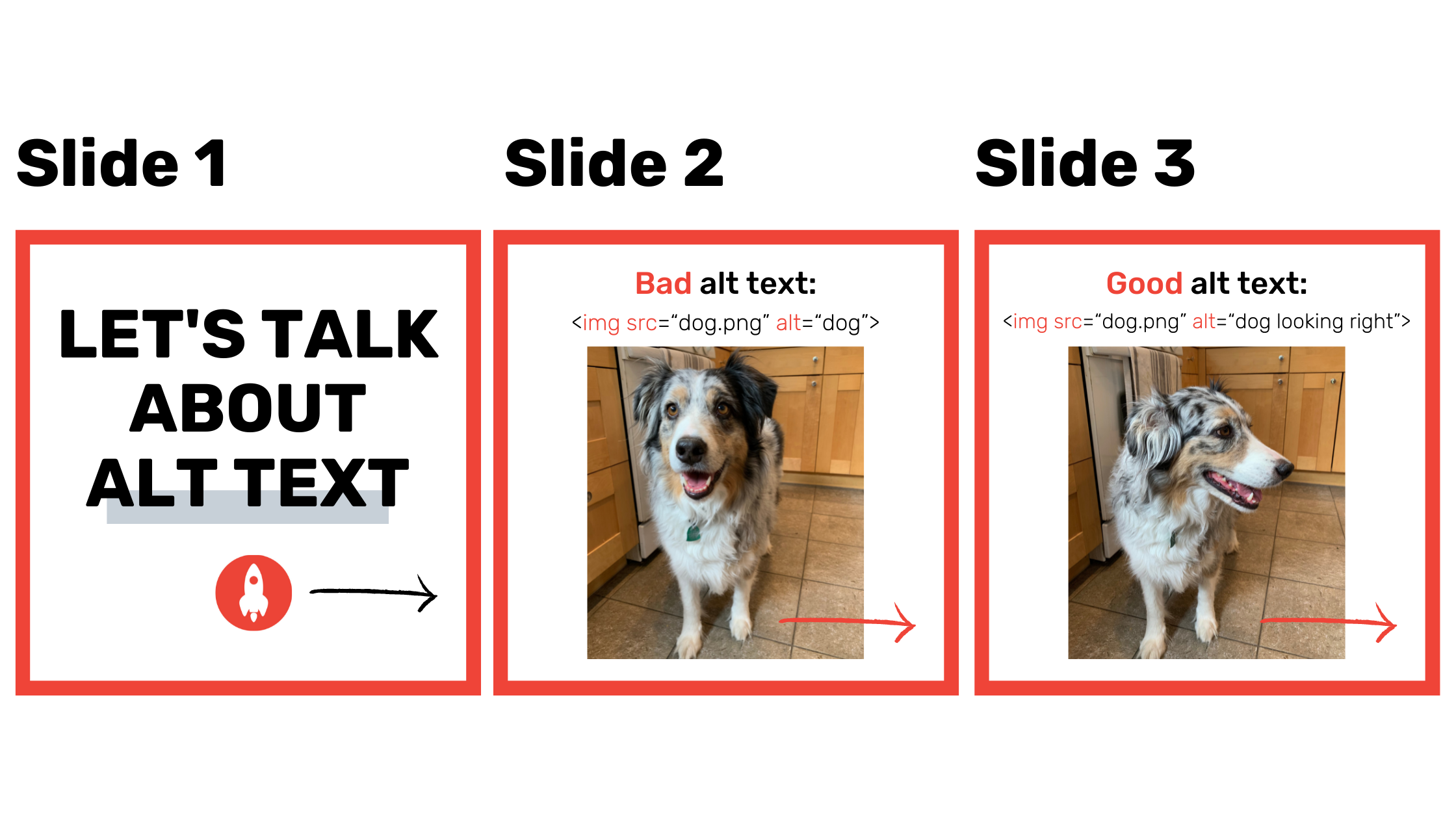 Three slides that show three dog images