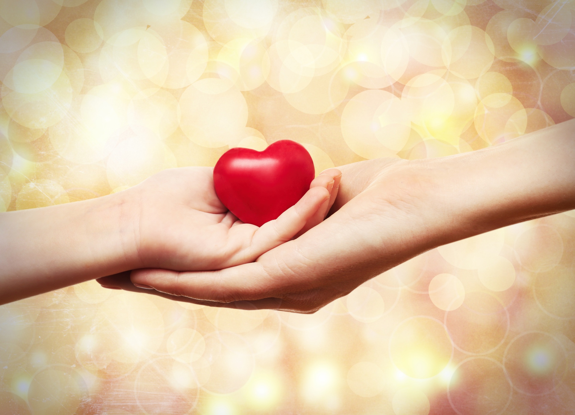 two female hands holding a red plastic heart with blurred background of little lights