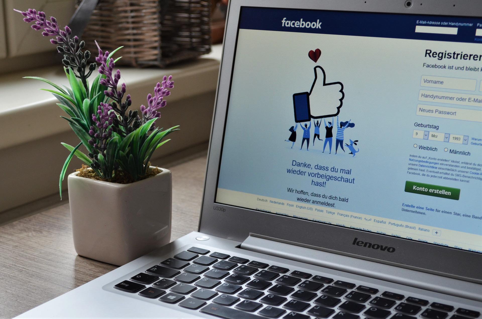 Laptop displaying Facebook login page beside a small potted plant