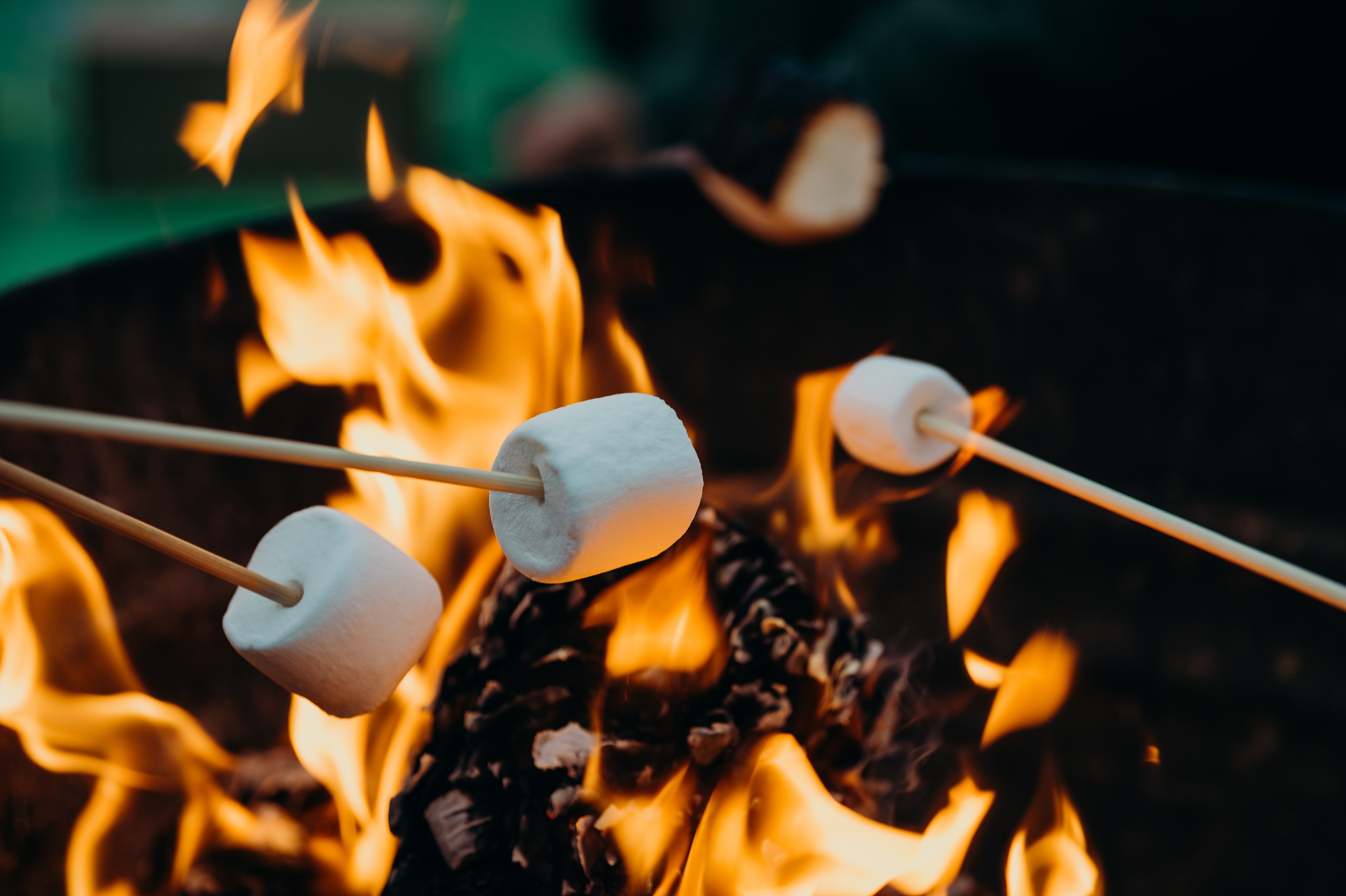 Three marshmallows roasting over a campfire